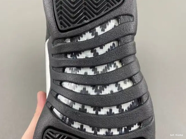 The 130690-013 Jordan Retro Master 12 Air 0522